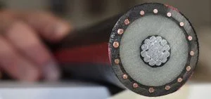 A cross-section of a thick black cable shows internal copper wires and insulation.