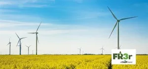 Wind turbines stand in a yellow field under a blue sky.