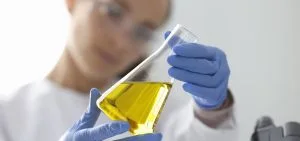 A person in blue gloves holds a glass flask filled with yellow liquid.