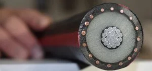 A cross-section of a thick black cable shows multiple copper wires and a central bundle of white fibers.
