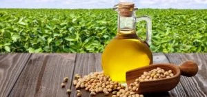 A glass jug of oil sits on a wooden table next to a wooden scoop of soybeans.
