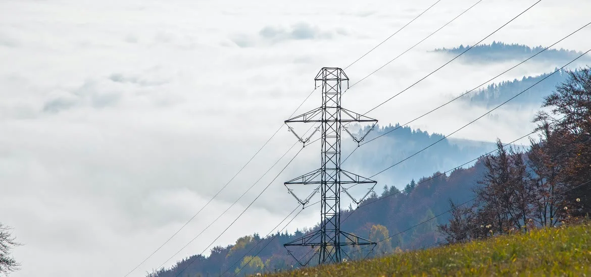 An electricity pylon stands on a hillside amidst thick fog and trees.