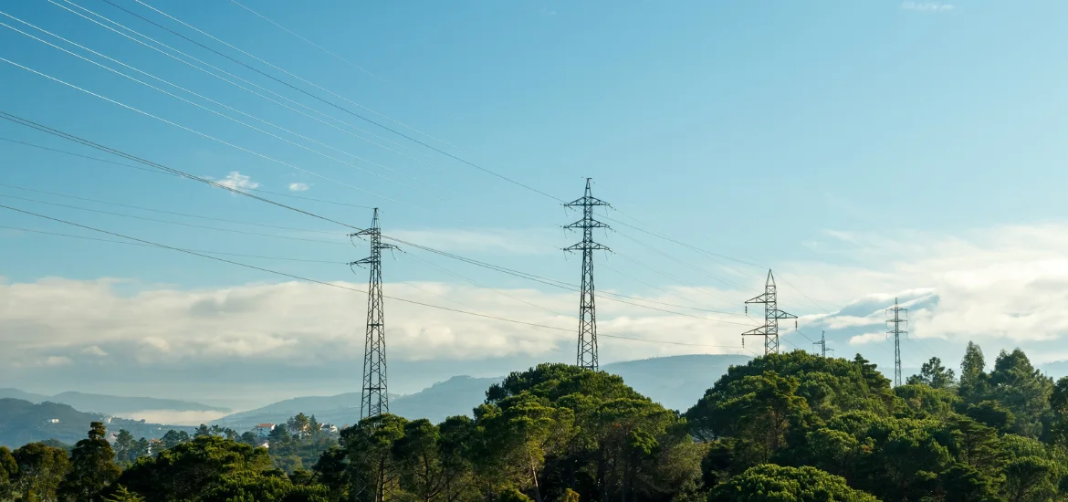 Power lines stretch across a blue sky above green trees and hills.